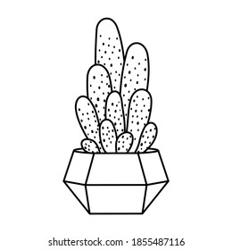 Cactus and succulent line style cartoon vector illustration. Decorative flower plant in pot. Isolated icon cacti