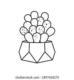 Cactus and succulent line style cartoon vector illustration. Decorative flower plant in pot. Isolated icon cacti