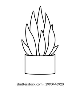 Cactus and succulent line style cartoon vector illustration. Decorative flower plant in pot. Isolated icon cacti