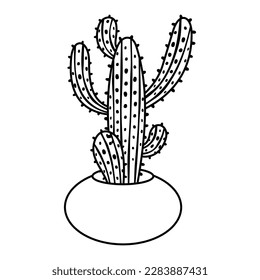 Cactus and succulent line style vector illustration