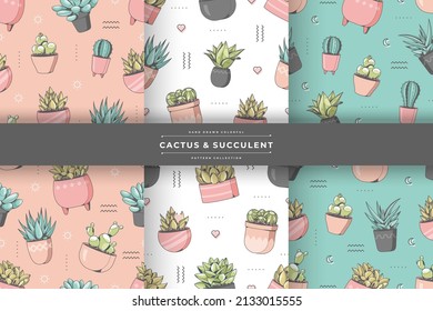 colección de cactus y diseño de patrones suculentos