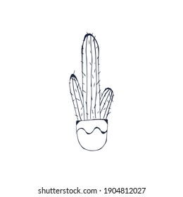 Cactus, succulent plant black outline hand drawn isolate on white background. Sketch, doodle cactus in a pot on a white background. Home plant, prickly cactus. Vector cactus coloring page illustration