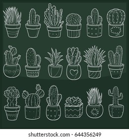 Cactus Succulent Plant Doodle Icon Chalkboard Sketch