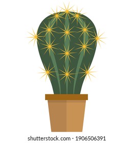 Cactus succulent plant flat vector. Potted prickly flower for home interior decoration. Spiky cacti in pot isolated on white background. Botany and floristic