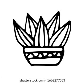 Cactus, succulent plant in a flower pot. Isolated on a white background. Black outline. Hand drawn style. Vector illustration.