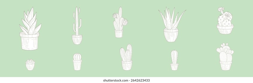Cactus Succulent Plant Grow in Pot Line Vector Set