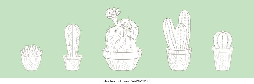 Cactus Succulent Plant Grow in Pot Line Vector Set