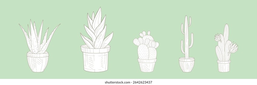 Cactus Succulent Plant Grow in Pot Line Vector Set