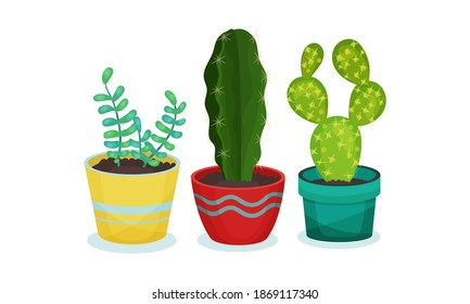 Cactus and Succulent Plant Growing in Flowerpots Vector Set