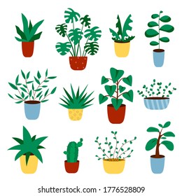 Cactus and succulent plant growing in pots. Vector Cacti and succulents collection of house plants.