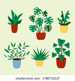 Cactus and succulent plant growing in pots. Vector Cacti and succulents collection of house plants.