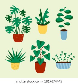 Cactus and succulent plant growing in pots. Vector Cacti and succulents collection of house plants.