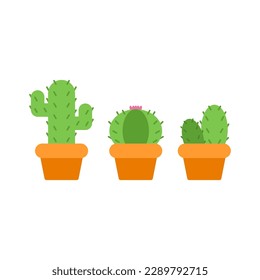 Cactus or succulent plant illustration 2d flat design. Various cactus set in white background.