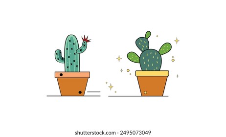 Cactus or succulent plant in pot isolated on white background.  Home succulents.