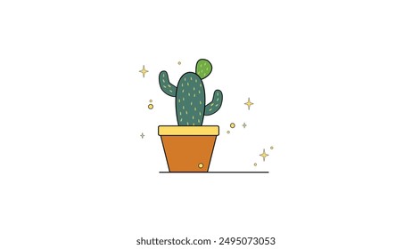 Cactus or succulent plant in pot isolated on white background.  Home succulents.