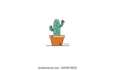 Cactus or succulent plant in pot isolated on white background.  Home succulents.