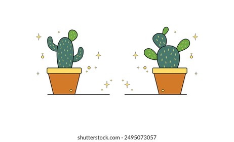 Cactus or succulent plant in pot isolated on white background.  Home succulents.