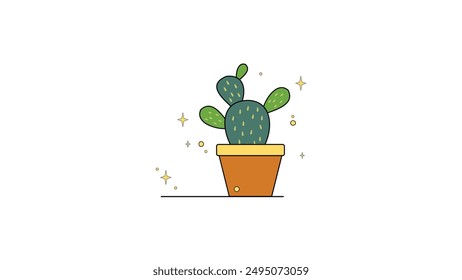 Cactus or succulent plant in pot isolated on white background.  Home succulents.