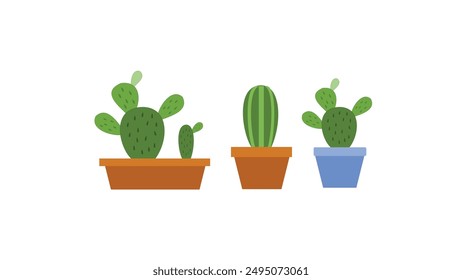 Cactus or succulent plant in pot isolated on white background.  Home succulents.