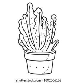 Cactus and Succulent Plant Pot, Traditional Doodle. Icons Sketch Hand Made. Design Vector Line Art.