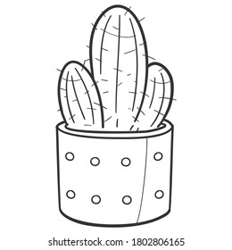 Cactus and Succulent Plant Pot, Traditional Doodle. Icons Sketch Hand Made. Design Vector Line Art.