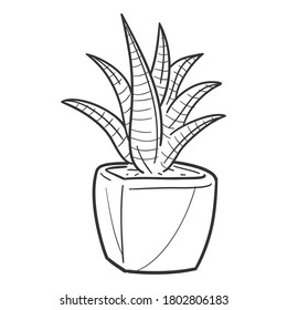 Cactus and Succulent Plant Pot, Traditional Doodle. Icons Sketch Hand Made. Design Vector Line Art.