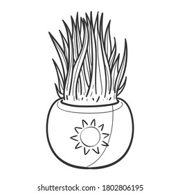Cactus and Succulent Plant Pot, Traditional Doodle. Icons Sketch Hand Made. Design Vector Line Art.