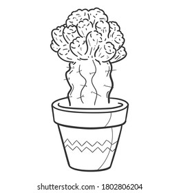Cactus and Succulent Plant Pot, Traditional Doodle. Icons Sketch Hand Made. Design Vector Line Art.