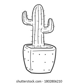 Cactus and Succulent Plant Pot, Traditional Doodle. Icons Sketch Hand Made. Design Vector Line Art.