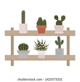 cactus succulent plant set in flower garden pot on shelf collection vector illustration 