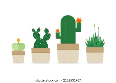 Cactus or Succulent plants collection with flower blooming in potted minimal style, Object on white background, Desert ornamental planting for home decoration and Hobbies, Set of cute shaped cactus.