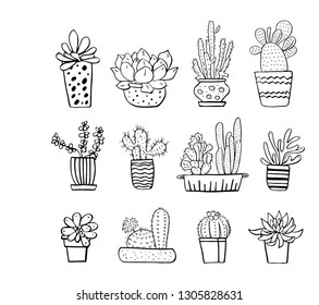 Graphic House Plant Drawings Black White Stock Vector (Royalty Free ...