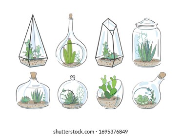 Cactus and succulent plants in glass aquariums and vases isolated on white. Vector floral illustraion. 