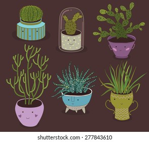 Cactus And Succulent Plants Growing In Cute Pots