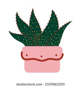 Cactus Succulent Plants Illustration - 08