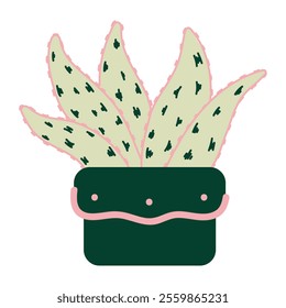 Cactus Succulent Plants Illustration - 13