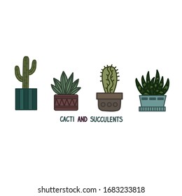 Cactus and succulent plants in pots. Illustration set of hand drawn cacti and succulents growing in cute little pots. Simple cartoon vector style.