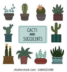 Cactus and succulent plants in pots. Illustration set of hand drawn cacti and succulents growing in cute little pots. Simple cartoon vector style.
