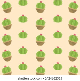 Cactus succulent plants pots pattern background vector illustration graphic design