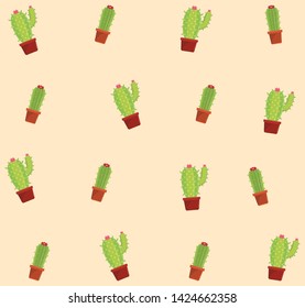 Cactus succulent plants pots pattern background vector illustration graphic design