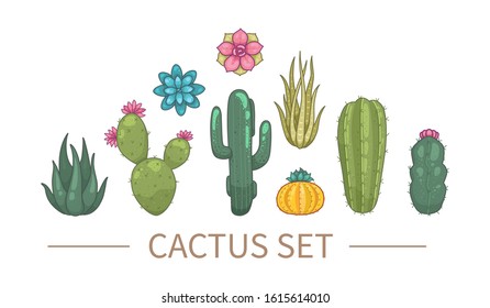 Cactus and succulent plants vector icons in cartoon style. Home plants cacti isolated on white background.