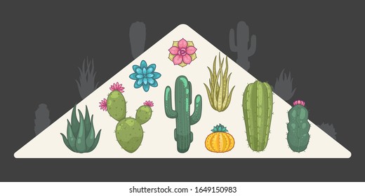 Cactus and succulent plants vector icons in cartoon style. Home plants cacti isolated.