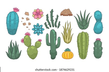 Cactus and succulent plants vector icons in cartoon style. Home plants cacti isolated on white background.