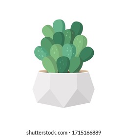 Cactus and succulent in pot domestic colorful cartoon vector illustration. Decorative flower plant. Isolated icon cacti