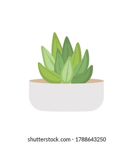 Cactus or succulent in pot . domestic colorful cartoon vector illustration. Decorative flower plant. Isolated icon cacti