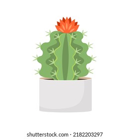 Cactus and succulent in pot domestic colorful cartoon vector illustration