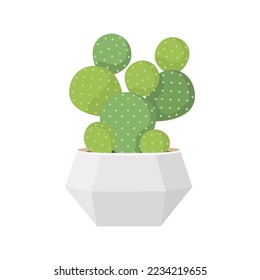 Cactus and succulent in pot domestic colorful cartoon vector illustration
