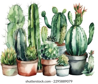 Cactus and succulent in pot isolated on white watercolor. Cactus illustration can be used as print, home or garden decoration.