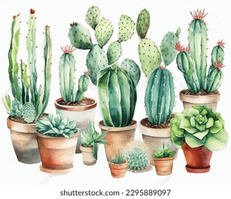 Cactus y suculento en olla aislada en acuarela blanca. La ilustración de cactus se puede utilizar como impresión, hogar o decoración de jardín.