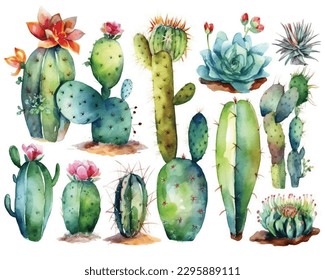 Cactus and succulent in pot isolated on white watercolor. Cactus illustration can be used as print, home or garden decoration.